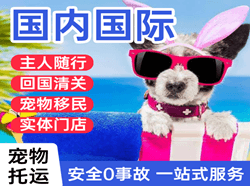 三沙永兴航空物流国际宠物托运 【国